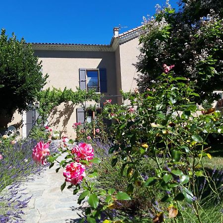 Le Clos Du Verger La Motte-du-Caire Bagian luar foto
